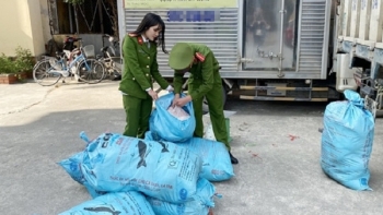 Hà Tĩnh: Tạm giữ gần 500kg mỡ lợn không rõ nguồn gốc