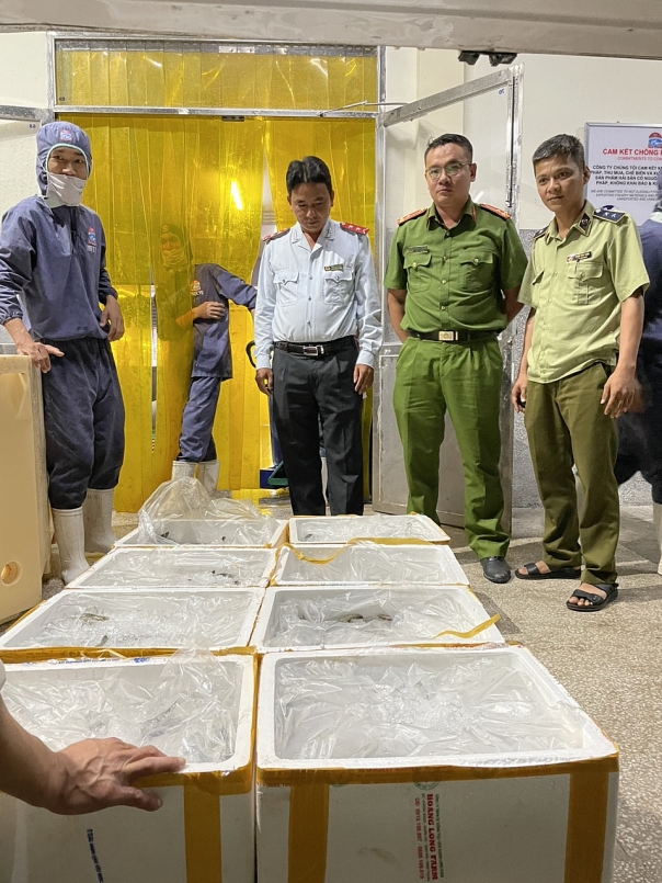 Kiên Giang: Phát hiện và xử lý cơ sở kinh doanh tôm chứa tạp chất
