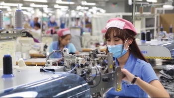 Đề xuất tiếp tục gia hạn nộp thuế, tiền thuê đất cho doanh nghiệp