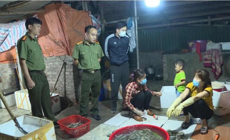 Hà Nội: Bắt quả tang một cơ sở bơm tạp chất vào tôm tại quận Hoàng Mai