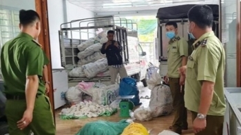 An Giang: Thu giữ hơn 3.000 kg chả đòn chay không rõ nguồn gốc xuất xứ