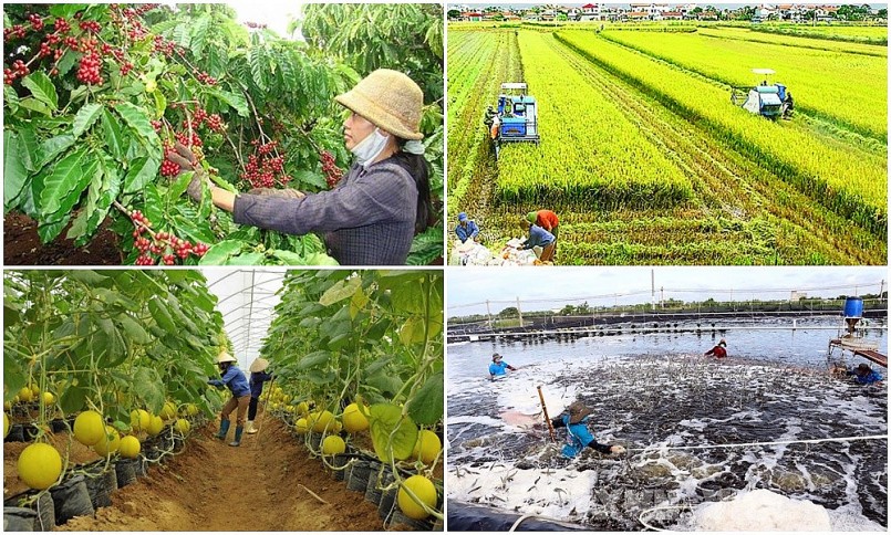 Hướng dẫn hỗ trợ phát triển sản xuất nông nghiệp Hướng dẫn hỗ trợ phát triển sản xuất nông nghiệp