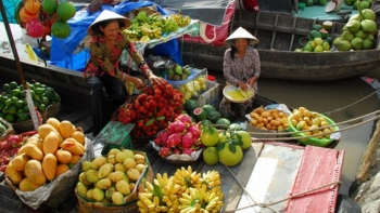 Hậu Giang sắp có nhà máy sơ chế, chế biến trái cây xuất khẩu công suất 20.000 tấn/năm