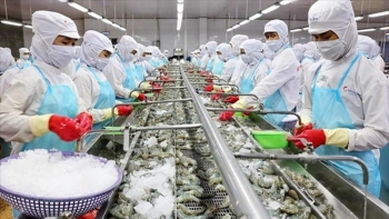 EAEU đưa Việt Nam ra khỏi danh sách hưởng ưu đãi thuế quan GSP