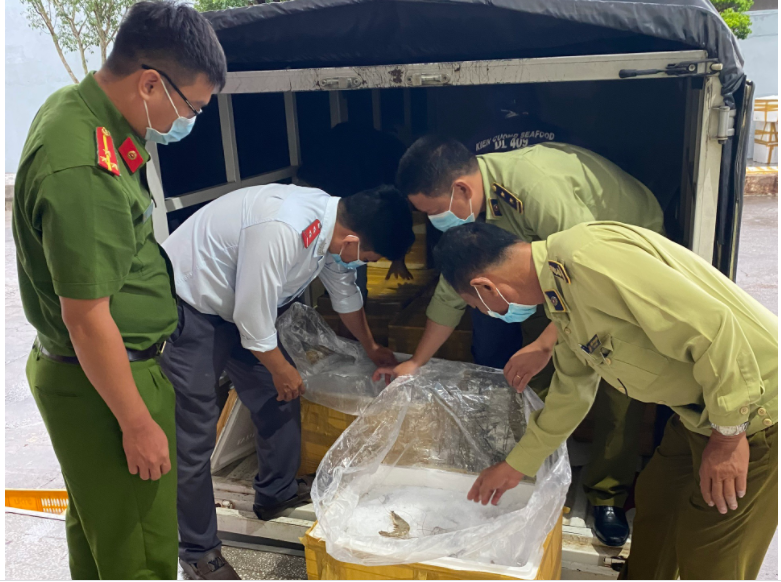 Kiên Giang: Phát hiện 300 kg tôm chứa tạp chất