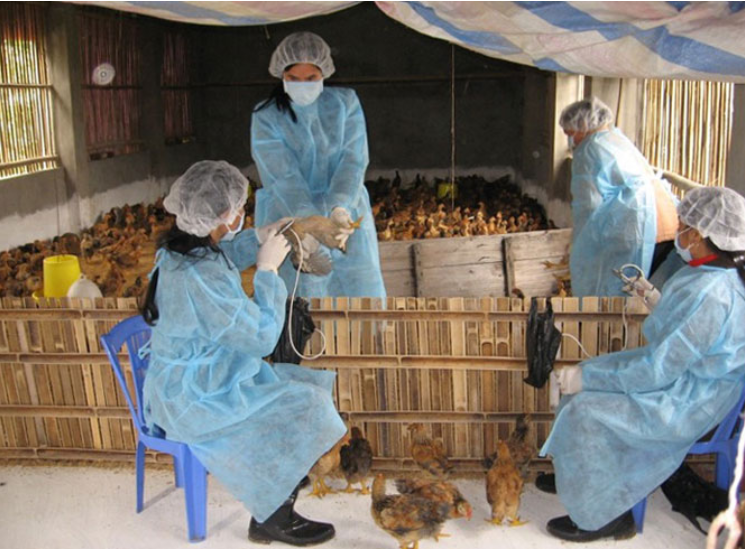 Bổ sung mức hỗ trợ người tham gia phòng, chống dịch bệnh động vật