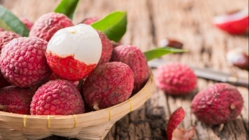 Tuần sau sẽ xuất khẩu vải thiều Lục Ngạn (Bắc Giang) đi EU theo Hiệp định EVFTA