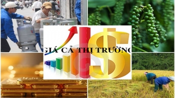 Sửa Luật Giá, khắc phục hạn chế sau hơn 9 năm thi hành