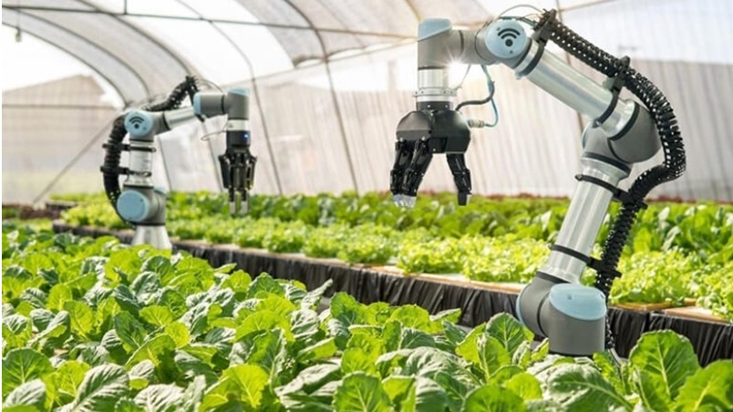 Thúc đẩy phát triển nông nghiệp và nông thôn bền vững vùng ĐBSCL