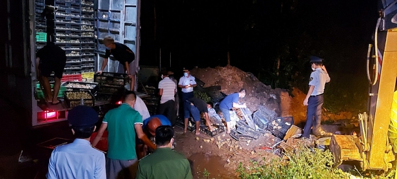 Toàn bộ tang vậy được tiêu hủy theo quy định. Toàn bộ tang vậy được tiêu hủy theo quy định.