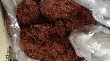 Thanh Hóa: Thu giữ hơn 7,5 tấn thịt sấy, ruốc thịt....không rõ nguồn gốc