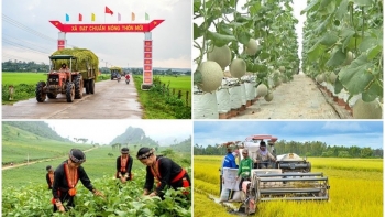 Triển khai Chương trình mục tiêu quốc gia giảm nghèo bền vững giai đoạn 2021-2025