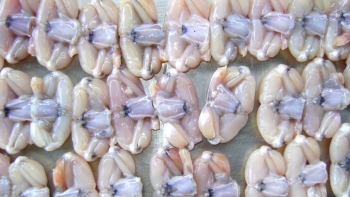 EU cảnh báo đối với 02 sản phẩm xuất khẩu của Việt Nam