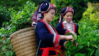 Phê duyệt Chương trình mục tiêu quốc gia phát triển kinh tế - xã hội vùng đồng bào dân tộc thiểu số và miền núi