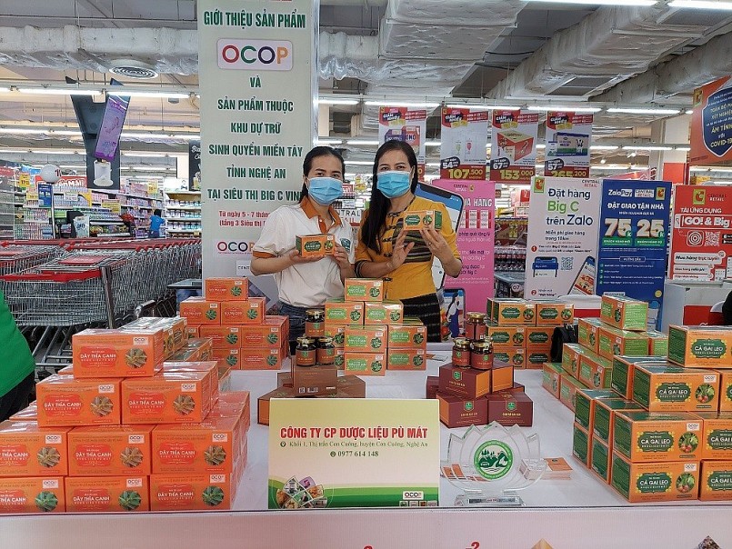 Các sản phẩm trà túi lọc, cao Cà gai leo, Dây thìa canh, Giảo cổ lam nổi tiếng của Dược liệu Pù mát (huyện Con Cuông) Các sản phẩm trà túi lọc, cao Cà gai leo, Dây thìa canh, Giảo cổ lam nổi tiếng của Dược liệu Pù mát (huyện Con Cuông)