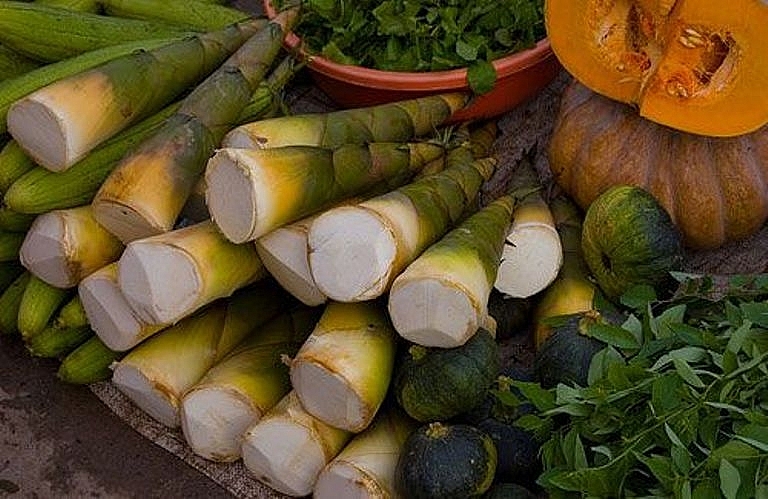 Bảo hộ chỉ dẫn địa lý “Yên Bái” cho sản phẩm măng tre Bát Độ