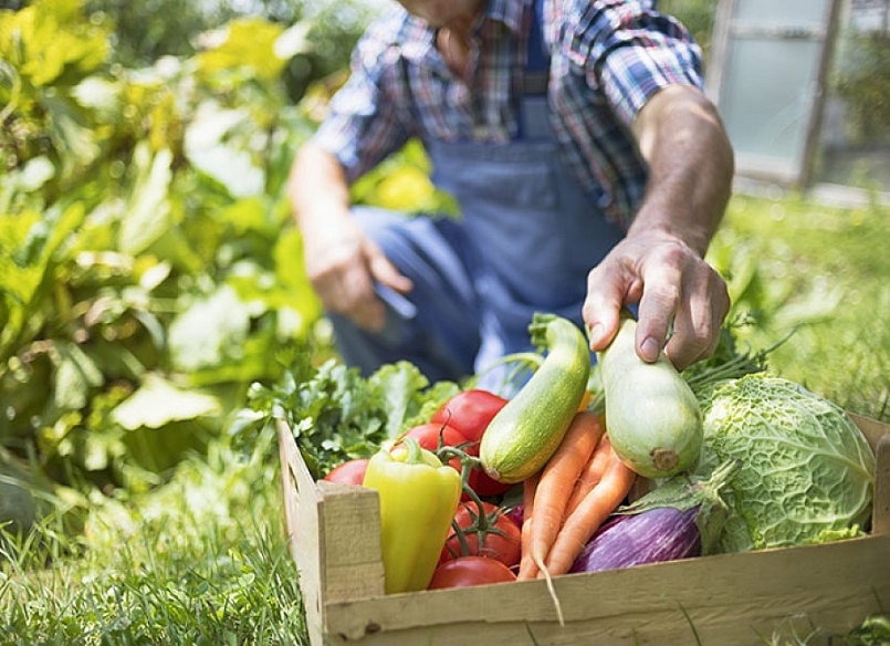 Bộ NN&PTNT lên kế hoạch bảo đảm an toàn thực phẩm trong lĩnh vực nông nghiệp năm 2021