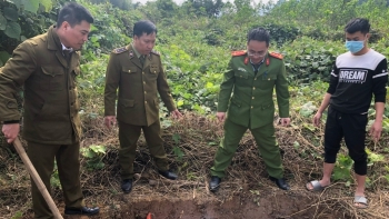 Hòa Bình: Ngăn chặn kịp thời 200kg nội tạng động vật bắt đầu phân hủy