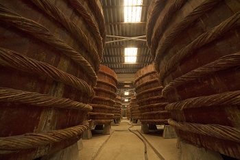 Để nước mắm Phú Quốc vươn xa