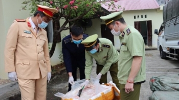 Lạng Sơn: Ngăn chặn trên 2,5 tấn nầm lợn đông lạnh đã có hiện tượng chuyển màu