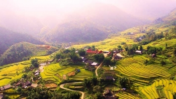 Lào Cai: Tạm dừng thu phí tham quan một số điểm du lịch tại Sa Pa