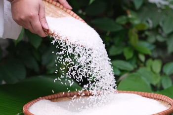 Xuất  khẩu gạo ST24, ST25 tiếp tục tăng 