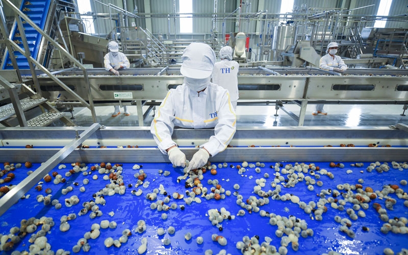 Sơn La quan tâm hỗ trợ chế biến nông sản