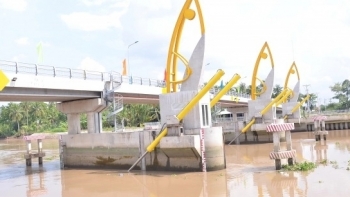 Bàn giao 3 công trình kiểm soát mặn, ngọt ở miền Tây