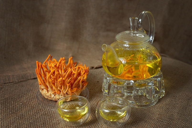 Trà đông trùng hạ thảo không chỉ là một thức uống thơm ngon bổ dưỡng mà nó còn là một bài thuốc tuyệt vời cho sức khỏe Trà đông trùng hạ thảo không chỉ là một thức uống thơm ngon bổ dưỡng mà nó còn là một bài thuốc tuyệt vời cho sức khỏe