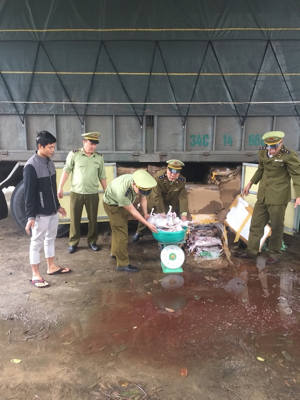 QLTT Hà Tĩnh ngăn chặn kịp thời 420kg thịt chó, mèo đã bốc mùi hôi thối