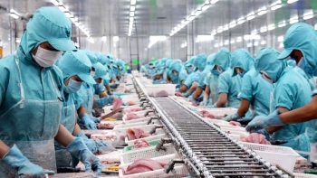 10 tháng, xuất khẩu thủy sản đạt gần 7 tỷ USD, giảm nhẹ so với cùng kỳ