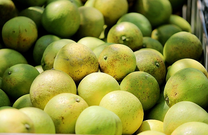 Để phát triển bền vững loại đặc sản này, tỉnh Hà Tĩnh cũng như huyện Hương Khê đã và đang tập trung thực hiện nhiều giải pháp Để phát triển bền vững loại đặc sản này, tỉnh Hà Tĩnh cũng như huyện Hương Khê đã và đang tập trung thực hiện nhiều giải pháp