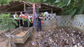 Thanh Hóa: Sản phẩm vịt “Cổ Lũng - Bá Thước” được bảo hộ Chỉ dẫn địa lý