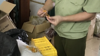 Thanh Hóa: Xử phạt cá nhân kinh doanh thực phẩm không rõ nguồn gốc hơn 400 triệu đồng