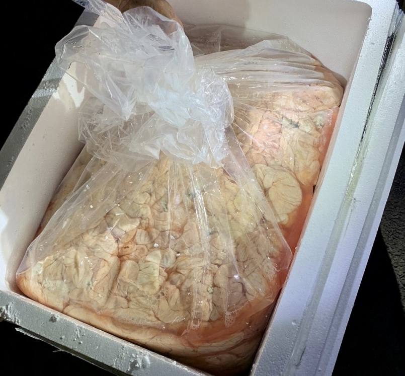 Tăng cường giám sát thị trường Tết, QLTT Đắk Lắk phát hiện 1,7 tấn lòng lợn bốc mùi hôi thối chờ tiêu thụ