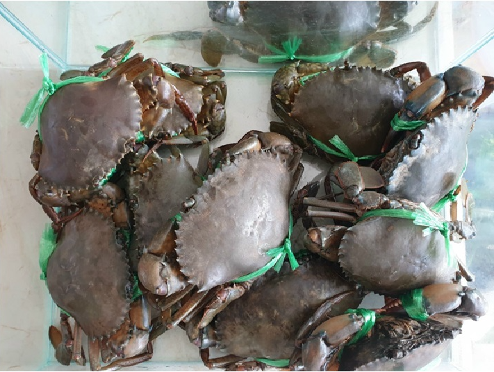 Bảo hộ Chỉ dẫn địa lý 