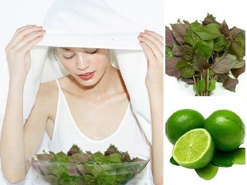 Lá tía tô giúp trị mụn và mang lại làn da trắng sáng