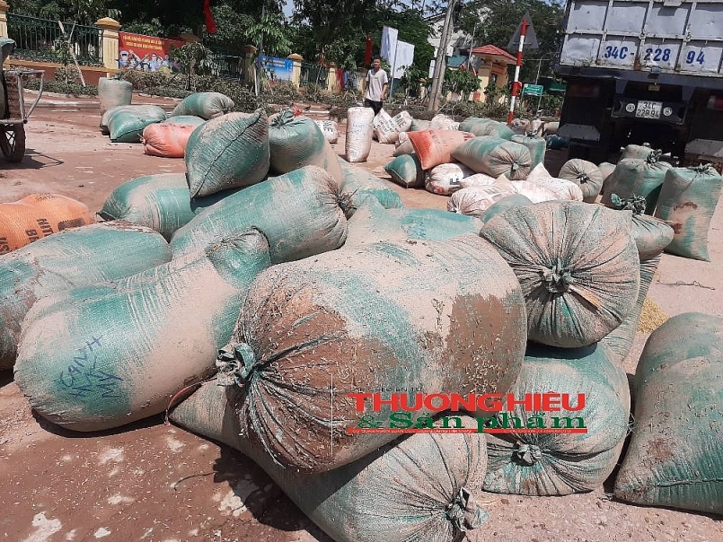 Hà Tĩnh: Hàng ngàn tấn lúa của người dân vùng tâm lũ hư hỏng, nãy mầm