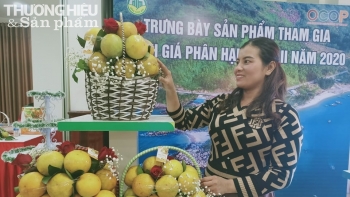 Hà Tĩnh: 70 sản phẩm tham gia đánh giá, phân hạng sản phẩm OCOP năm 2020