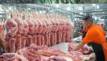 Nhiều doanh nghiệp chăn nuôi giảm giá thịt lợn