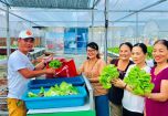 Khởi nghiệp từ mô hình trồng rau thủy canh