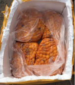 Lào Cai : Thu giữ 720kg nội tạng động vật không có chứng từ