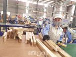 Vốn FDI vào ngành gỗ: Đừng vì "hạt sạn" mà bỏ "nồi cơm"