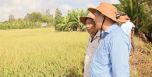 Dùng thảo mộc phun cho lúa giảm 220.000 đồng/công
