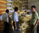 Lộ diện hàng loạt doanh nghiệp sản xuất phân bón giả tại Bình Phước Lộ diện hàng loạt doanh nghiệp sản xuất phân bón giả tại Bình Phước