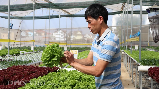 Anh Đức đã từ bỏ công việc nhà nước để theo đuổi đam mê làm nông nghiệp.