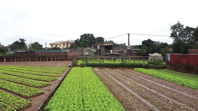 Nhiều trường hợp sai phạm cũ rất khó xử lý