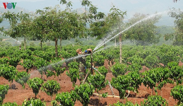 Nông dân bớt vất vả nhờ có điện khí hóa nông thôn