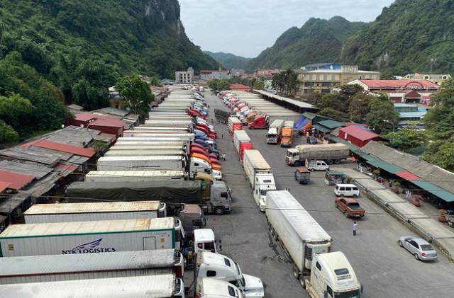 tình hình thông quan hàng hóa trong tháng 3 năm 2020