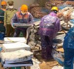 Hàng giả, hàng nhái: Hải Dương thu giữ hơn 72 tấn nội tạng động vật không rõ nguồn gốc xuất xứ